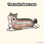 catruth.png