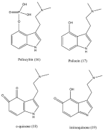 Psilocin+quinone.png