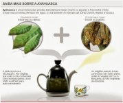 cha_da_ayahuasca+santo+daime.jpg