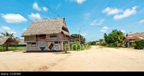 houses-painted-with-traditional-shipibo-designs-in-the-community-of-C52E6W.jpg