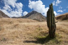 Peru005.jpg