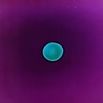 doorofperceptioncom-schoenfeld-all_you_can_feel-19.jpg