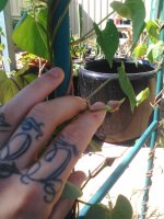 IMG_20160316_104419.jpg