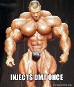 injects-dmt-once-1opzpt.jpg