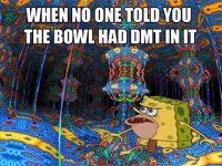 DMT+surprise.jpg