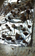 KINDLE_CAMERA_1465022099000.jpg
