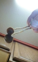 KINDLE_CAMERA_1465021914000.jpg