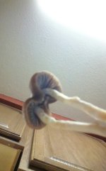 KINDLE_CAMERA_1465021990000.jpg