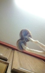 KINDLE_CAMERA_1465021993000.jpg