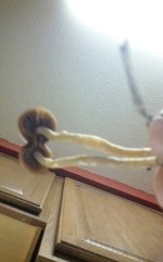 KINDLE_CAMERA_1465021935000.jpg