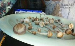 KINDLE_CAMERA_1464861726000.jpg