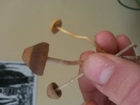 20160609_122134.jpg