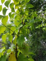 20160702_111247.jpg