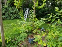 20160702_111231.jpg