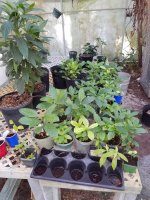 20160618_092908.jpg