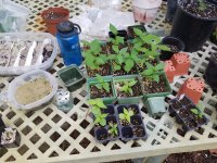 20160626_122804.jpg