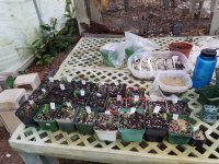 20160702_111004.jpg