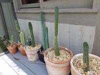 20160626_123442.jpg