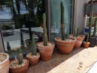 20160626_123450.jpg