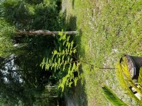 20160626_122147.jpg