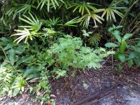 20160626_122220.jpg