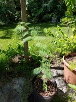 20160723_111340.jpg