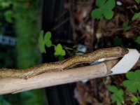 20160717_111637.jpg