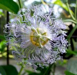 DSC_1a822.jpg