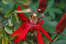 DSC_1141.jpg
