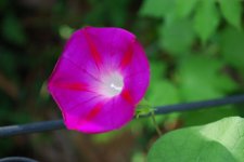 DSC_2890.JPG