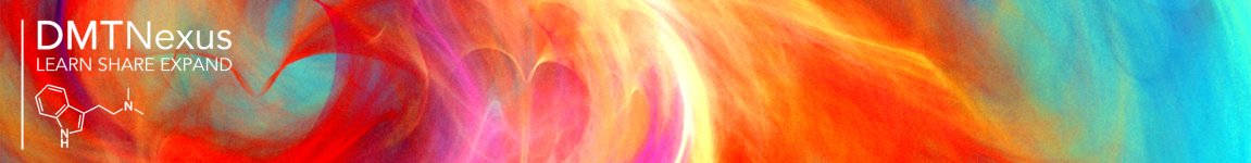 Dmt+banner.jpg