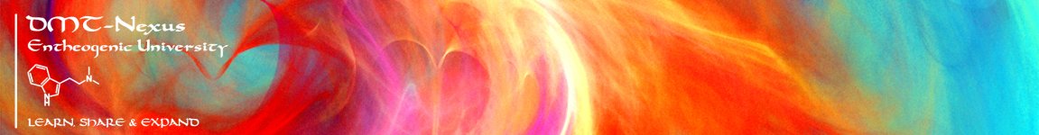 Dmt+banner2.jpg