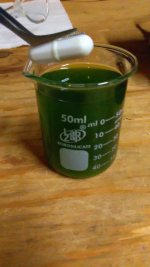 IMG_20160820_034343.jpg