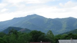 DSC01173.JPG