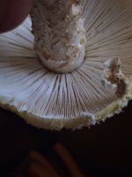 photo3.jpg