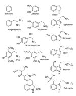 monoamine-structure.jpg