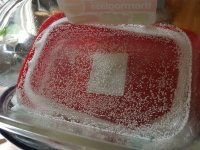 20161007_100507.jpg