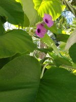 20161008_153811.jpg