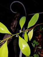 20160812_214840.jpg