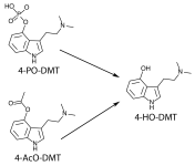 4-po-aco-ho-dmt.png