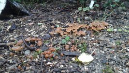 20161022_115852.jpg