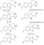 Leptaflorine+epimerisation.jpg