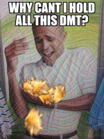 memebettercom-20161110225410.jpg