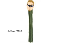 big-san-pedro-mescaline-cactus.jpg