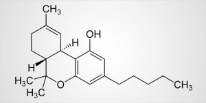 THC-article-update-1.jpg