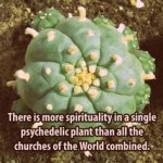 spirituality.jpg