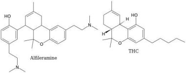 Alfileramine_THC_comparison.jpg