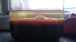 20170305_080242.jpg