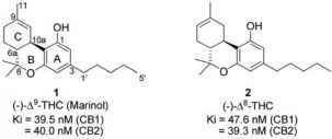 2431_102_26-cannabinoide-ring-ring.jpg