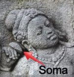 Soma+evidence+3.jpg